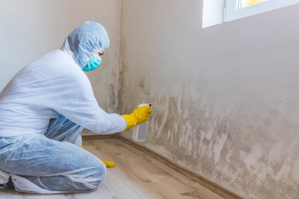 Mold inspector in Brogue performing thermal imaging
